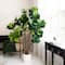 6ft. Artificial Grand Fiddle Leaf Tree in White Decorative Planter